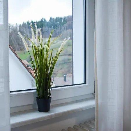 Ferienwohnung Sonnenglueck Bad Peterstal-Griesbach Zewnętrze zdjęcie